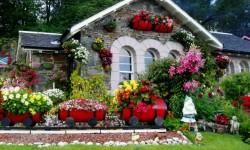 Home Improvement Tips To Beautify Your Garden