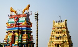 Neighbourhood Watch – Singaperumalkoil