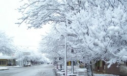 Tips to Keep Your Home Warm This Winter