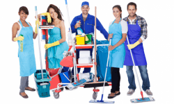 DIY Cleaning Tips for Your Appliances