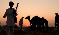 Postcards from Pushkar