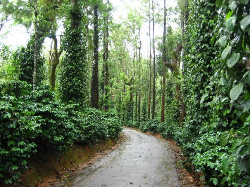 Coorg: The Scotland of India