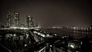 विदेशी गुणों के साथ सेलेबस में जुनून में एक झांकना 