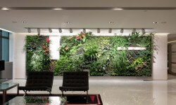 स्वस्थ घरों के लिए इनडोर पौधों जब आप विषाक्त हवा साँस रहे हैं 