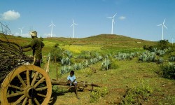 गुजरात में किसानों को संयुक्त उद्यमों से लाभ कैसे मिलेगा? 