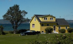 कैसे अपने ड्रीम होम खरीदने के लिए जब एकाधिक खरीदार इसके लिए बोली लगा रहे हैं 