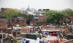 त्वरित ले लो: क्यों अनधिकृत कालोनियों दिल्ली में मशरूम के लिए जारी 