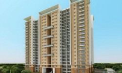 प्रोजेक्ट वॉच: ब्रेन स्टारलाइट, बैंगलोर 