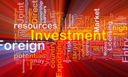 क्यों ऑनलाइन पोर्टल ई-कॉमर्स में एफडीआई का विरोध कर रहे हैं 