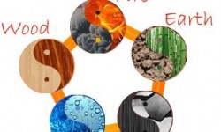 अपने घर में फेंग शुई तत्वों के साथ अपने जीवन को सकारात्मक बनाओ 