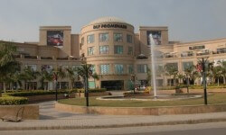 Silver Screen Stars Add Silver Lining To Property