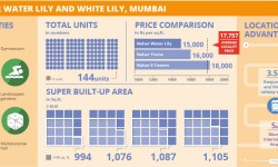 प्रोजेक्ट वॉच: नाहर वॉटर लिली और व्हाइट लिली, मुंबई 