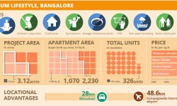 प्रोजेक्ट वॉच: साई एसोसिएट्स द्वारा प्लैटिनम लाइफस्टाइल 