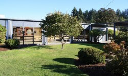 5 होम अपग्रेड्स जो मूल्य के लायक नहीं हैं 