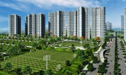 #RealtyNewsRoundup: Noida Authority To Issue Completion Certification To Jaypee Projects