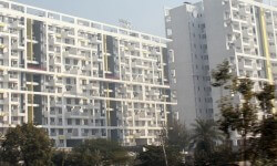 घर की बिक्री में गिरावट का वित्तीय वर्ष 16 मई मार्क क्यों? 