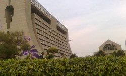 सीडब्ल्यूजी ग्राम फ्लैट्स नीलामी में 4 कारण आपको क्यों चाहिए 