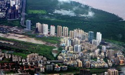 Can Powerful Mayors Govern Better?