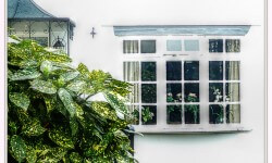 इस मॉनसून में नम गर्मी कैसे मारो 