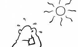 यह मॉनसून एक टॉप फ्लोर फ्लैट में खर्च कर रहा है? आपको यह कूल रखने के लिए इस चेकलिस्ट की आवश्यकता है 