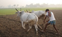 क्यों प्राचीन नियम अभी भी भारत के रियल एस्टेट का शासन करते हैं 