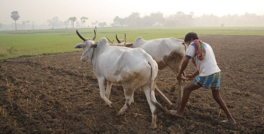 Why Archaic Terms Still Rule India's Real Estate