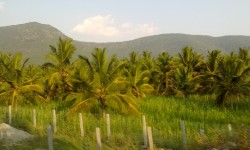 Realty News Roundup: Uncertainty On The Real Estate Bill Prevails; Punjab Launches Helpline Number For Property Related Information