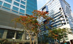 क्या इस साल कार्यालय अंतरिक्ष बाजार का विकास ड्राइव करेंगे? 