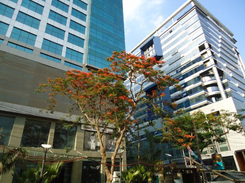 क्या इस साल कार्यालय अंतरिक्ष बाजार का विकास ड्राइव करेंगे? 