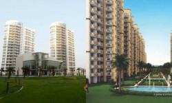 सोहना रोड या गोल्फ कोर्स एक्सटेंशन रोड: आपका पिक क्या है? 