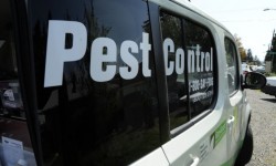 #WinterIsComing: Make Your Home Pest-Free!