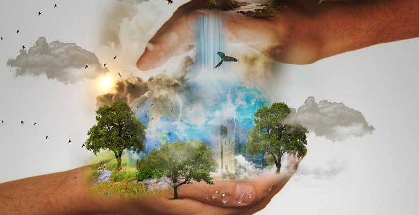 आपका कार्बन फुटप्रिंट कट करने के लिए 6 आसान चरणों 