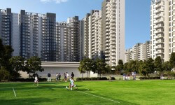 Game For Sports-Themed Projects? Here's Where You Can Invest