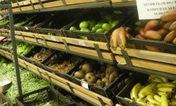 In Good Taste: How All-Night Stores May Change Delhi For Better