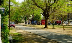 जमशेदपुर: भूमि अधिग्रहण में एक केस स्टडी 