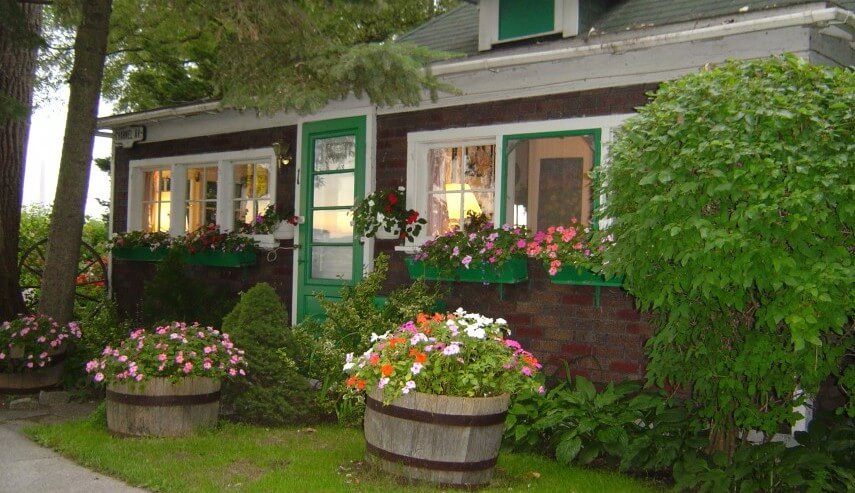 Tips To Make Your Home Healthy