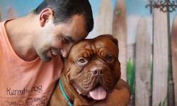 7 Tips To A Pet-Friendly Home