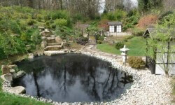 जंगली में अपने पिछवाड़े मुड़ने के लिए 5 कदम 