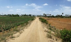 हस्तांतरणीय विकास अधिकार कैसे कुशल हैं? 