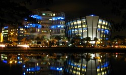 What Makes Technology Clusters So Popular?