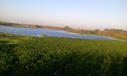 Can Indian Cities Manage Rivers Better?