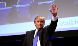 कैसे थोड़ा विदेशी मदद भारत के रियल एस्टेट को बदल सकता है 