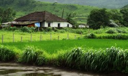 कृषि भूमि गैर-कृषि प्रयोजनों के लिए परिवर्तित किया जाना चाहिए? 