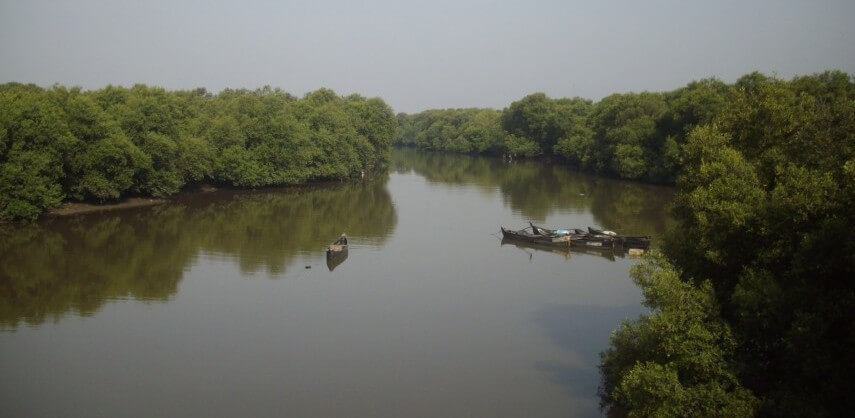 कैसे मुग़ी पानी मुंबई में मदद करेगा स्वच्छ रहो 