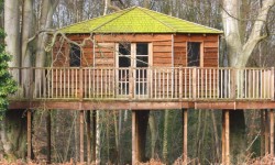 दुनिया भर में 5 अतुल्य ट्रीहाउस 