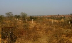 क्या वनों को फिर से परिभाषित करने की आवश्यकता है? 