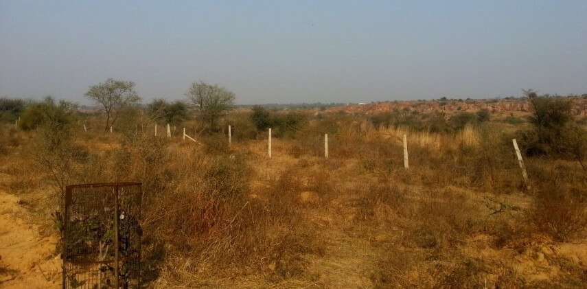 Is There A Need To Redefine Forests?