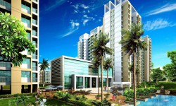 Things To Know About Patel Neotown, Noida