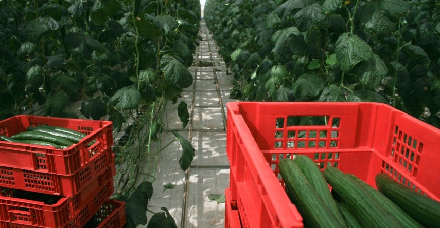 फार्म और ओपन स्पेस रियल एस्टेट परियोजनाओं के लिए मूल्य जोड़ें 