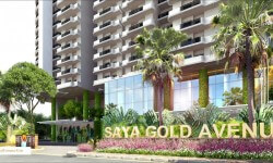 Things To Know About Saya Gold Avenue, Indirapuram